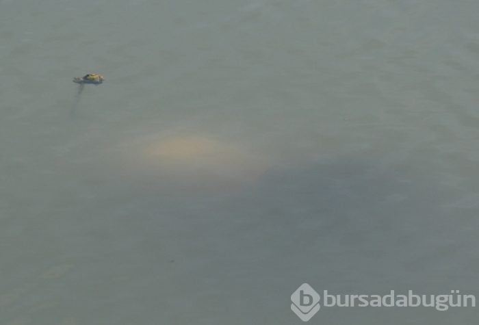 20 dakika suyun altında kaldı ama yaşama döndü