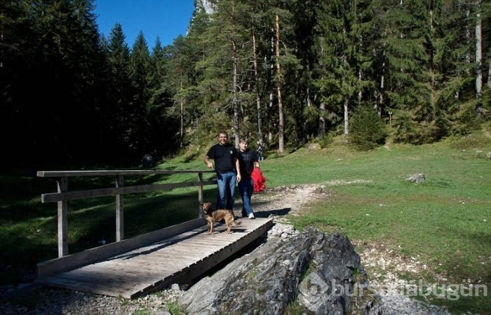 Yazları göl, kışları park!
