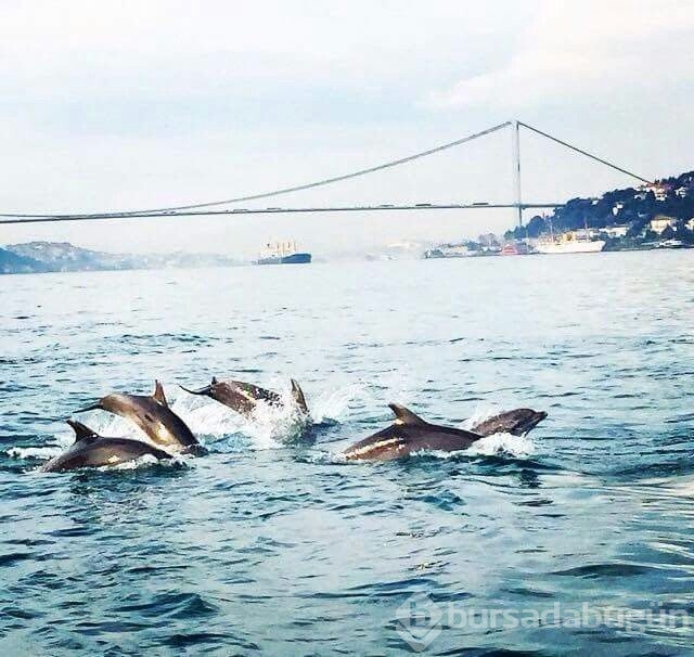 Mevsim normallerinin üzerinde güzel şeyler