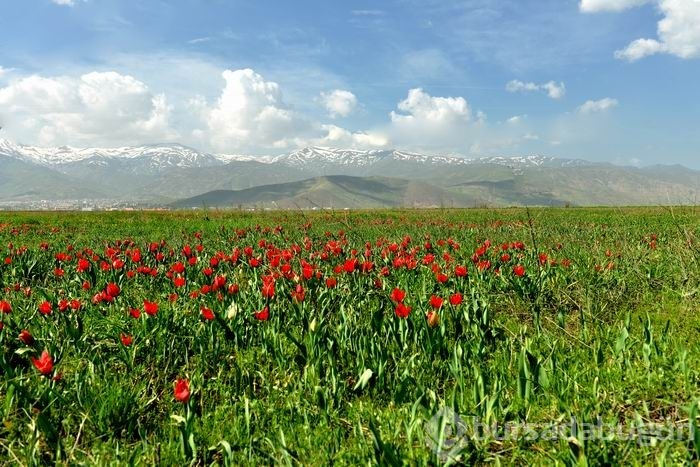 Mevsim normallerinin üzerinde güzel şeyler