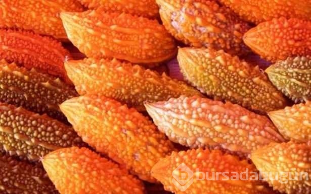 Adı gibi kudretli ama değeri yeterince bilinmeyen bir meyve: Kudret narı