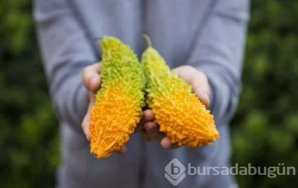 Adı gibi kudretli ama değeri yeterince bilinmeyen bir meyve: Kudret narı