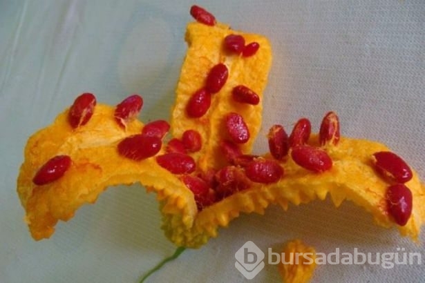 Adı gibi kudretli ama değeri yeterince bilinmeyen bir meyve: Kudret narı