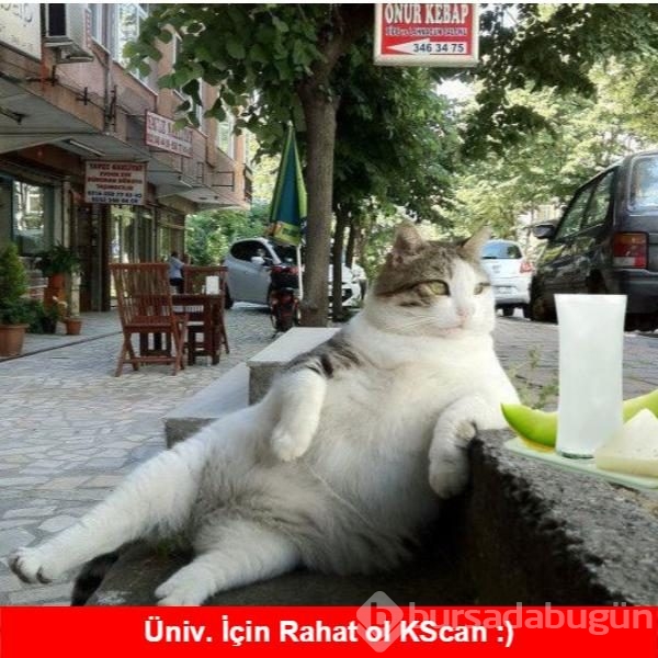 LYS öncesi üniversite adaylarına önemli tavsiyeler 