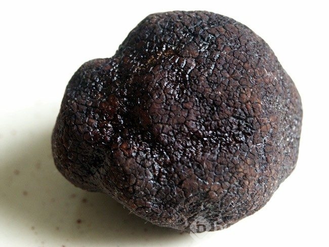 Orman Bakanlığı çalışma başlattı! Kilosu tam 3 bin TL
