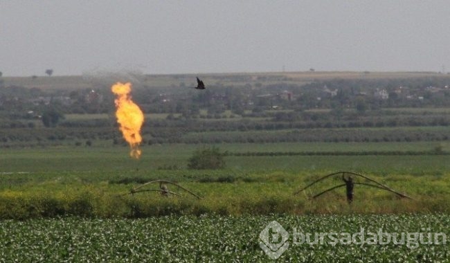 Adana'da doğalgaz bulundu