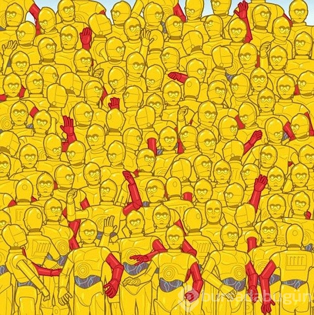 Patatesi bulabilecek misiniz?
