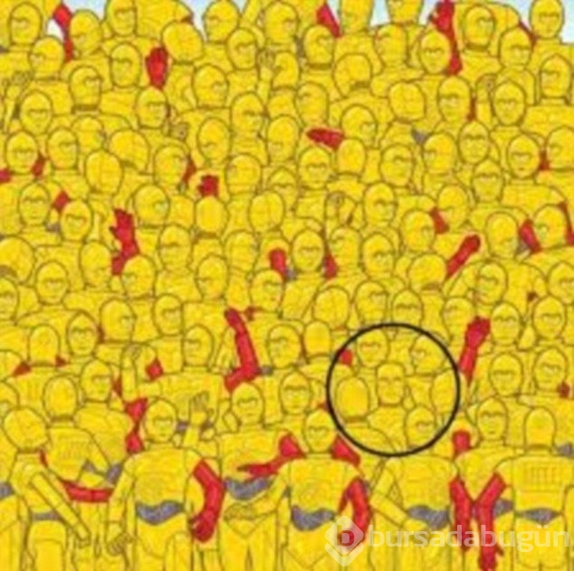 Patatesi bulabilecek misiniz?
