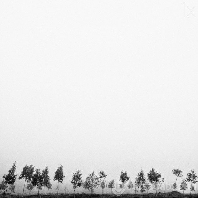 &#8203;Sadeliğin de güzel olduğunu kanıtlayan 20 minimalist fotoğraf