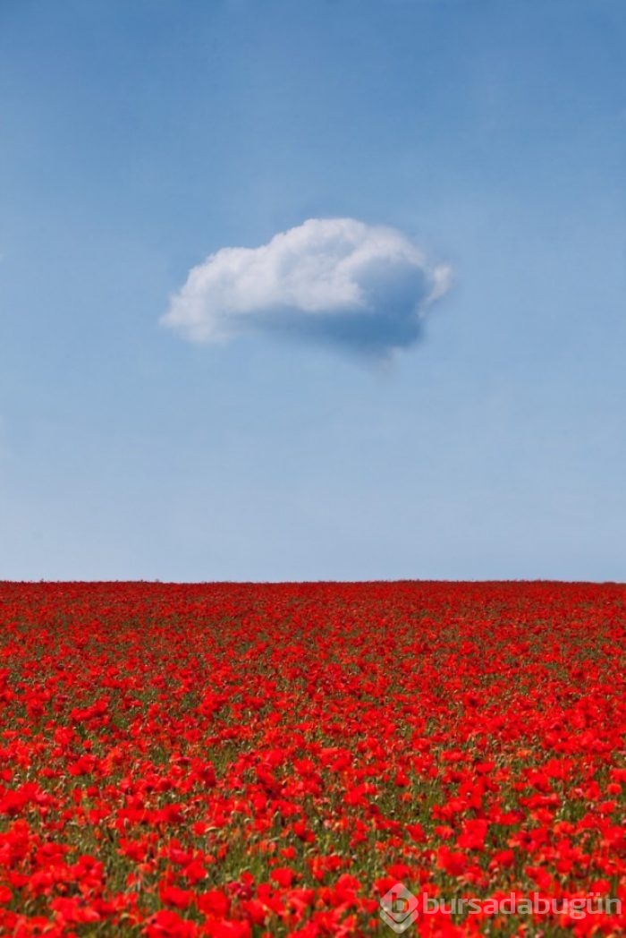 &#8203;Sadeliğin de güzel olduğunu kanıtlayan 20 minimalist fotoğraf