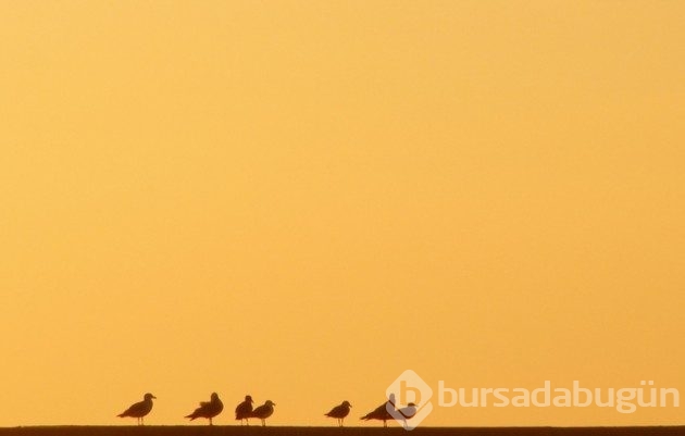 &#8203;Sadeliğin de güzel olduğunu kanıtlayan 20 minimalist fotoğraf