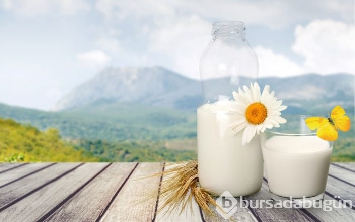 Laktoz intoleransı olanlar süt ürünlerini nasıl tüketmeli?