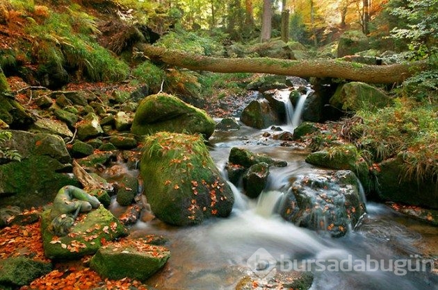 35 fotoğraftaki sırrı çözebilecek misiniz?