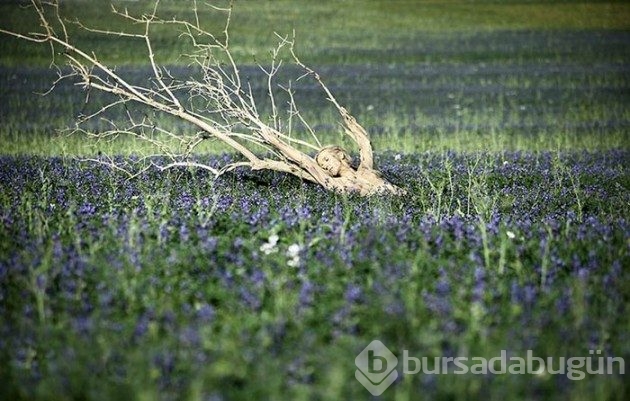 35 fotoğraftaki sırrı çözebilecek misiniz?