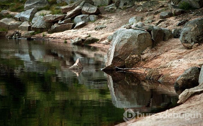 35 fotoğraftaki sırrı çözebilecek misiniz?