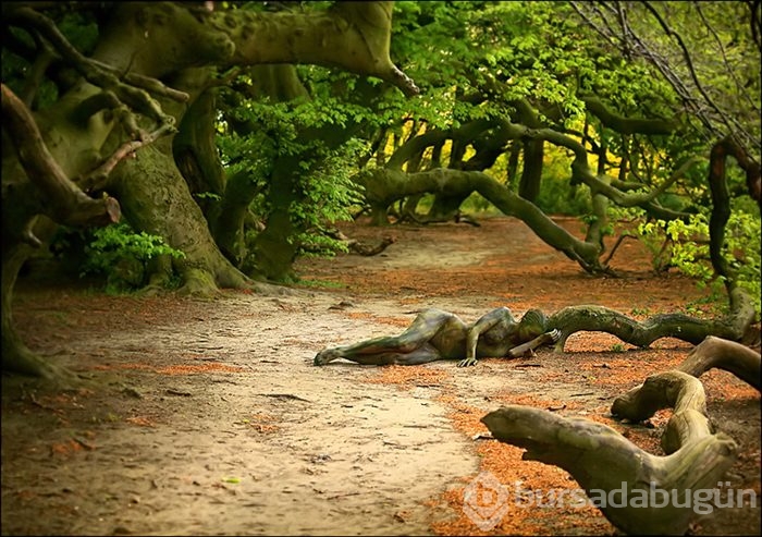 35 fotoğraftaki sırrı çözebilecek misiniz?