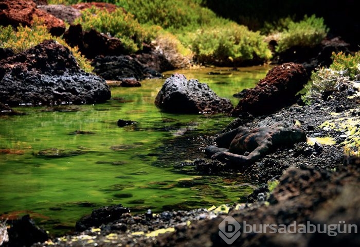 35 fotoğraftaki sırrı çözebilecek misiniz?