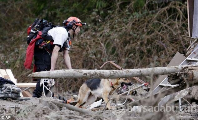 Köpekler insan canı kurtarmayı nasıl öğreniyor?