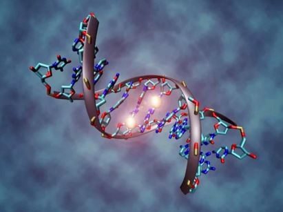 DNA hakkında daha önce duymadığınız bilgiler...