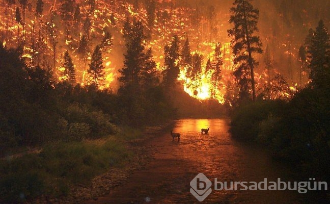 2050 yılından itibaren dünya başımıza yıkılacak