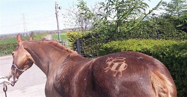Photoshop değil gerçek