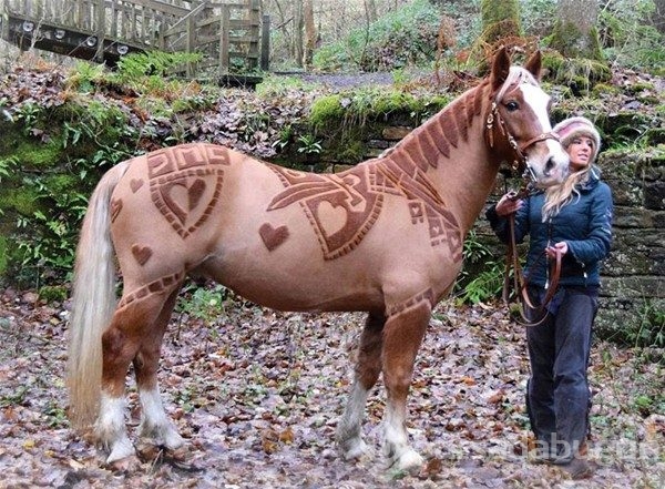 Photoshop değil gerçek