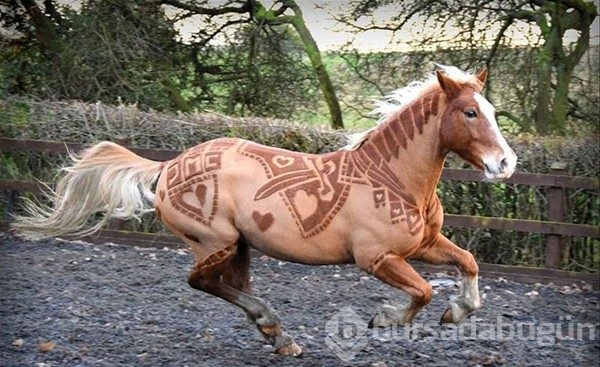 Photoshop değil gerçek