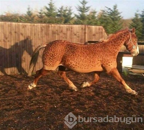 Photoshop değil gerçek