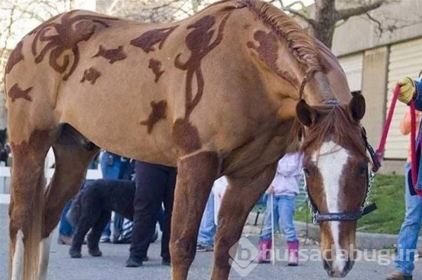 Photoshop değil gerçek