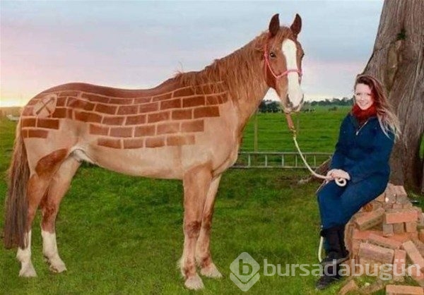 Photoshop değil gerçek