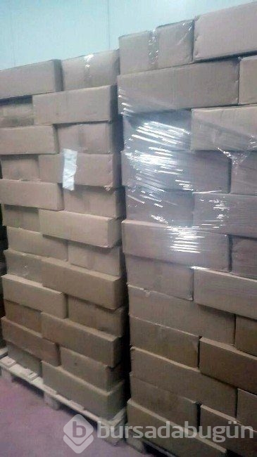 Antalya'da ton balığı skandalı!
