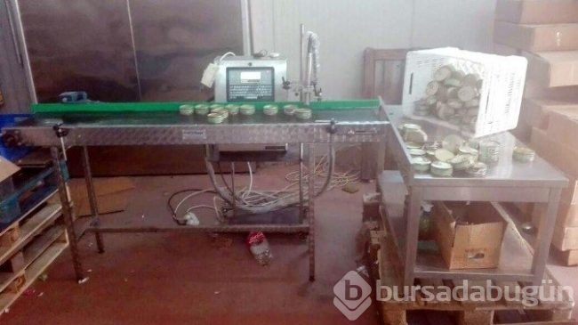 Antalya'da ton balığı skandalı!