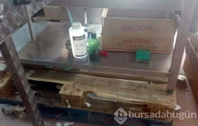 Antalya'da ton balığı skandalı!