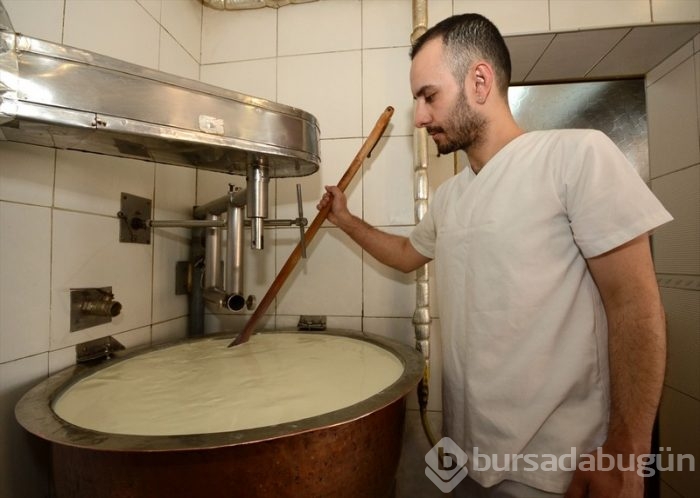Peynirin en tatlı halleri! Bursa'nın vazgeçilmez lezzeti de aralarında...