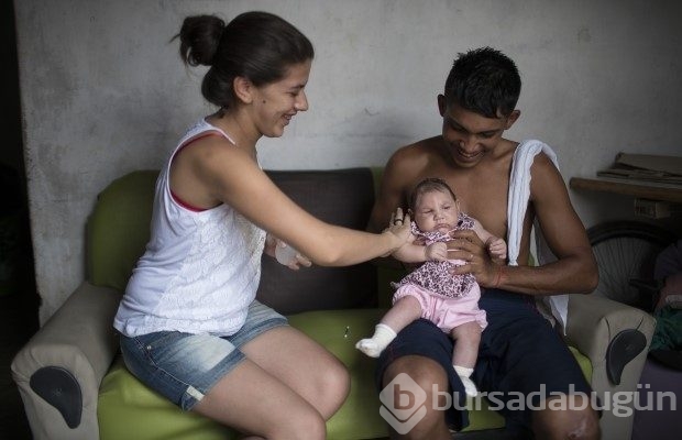 Zika virüsü nedir? Nasıl yayılır?