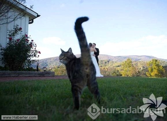 Yok artık dedirten düğün fotoğrafları