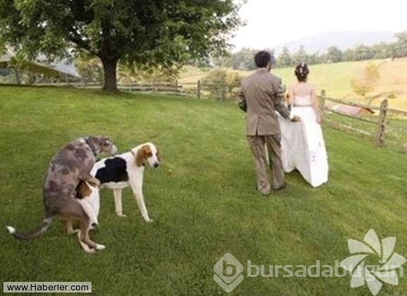 Yok artık dedirten düğün fotoğrafları