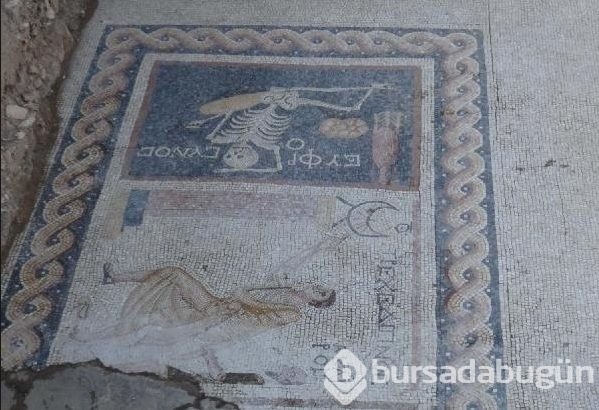 'Neşeli ol, hayatını yaşa' yazılı mozaik için İlber Ortaylı'dan öneri