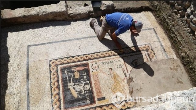 'Neşeli ol, hayatını yaşa' yazılı mozaik için İlber Ortaylı'dan öneri