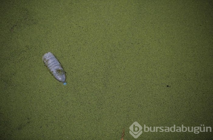 Çin'in şoka sokan pis suları
