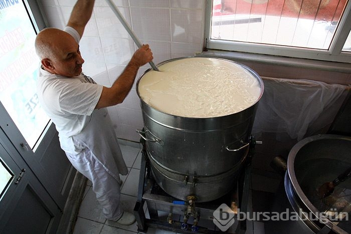 Peynirin en tatlı halleri