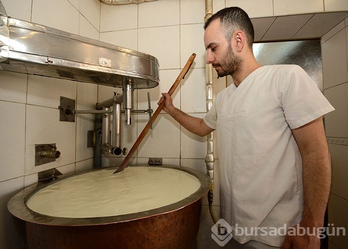 Peynirin en tatlı halleri
