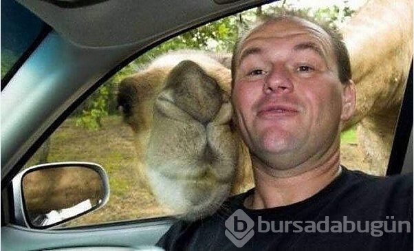 Hayvanlarıyla birlikte çekilmiş 20 selfie