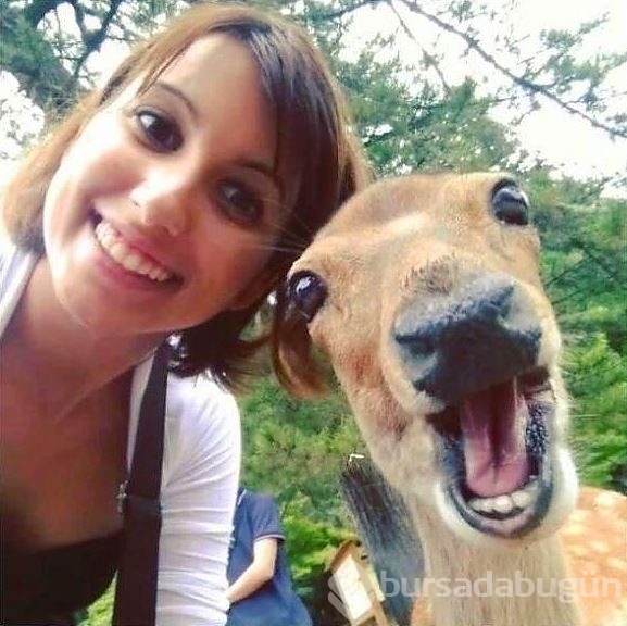 Hayvanlarıyla birlikte çekilmiş 20 selfie