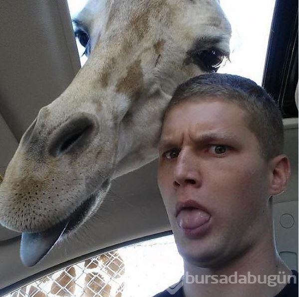 Hayvanlarıyla birlikte çekilmiş 20 selfie