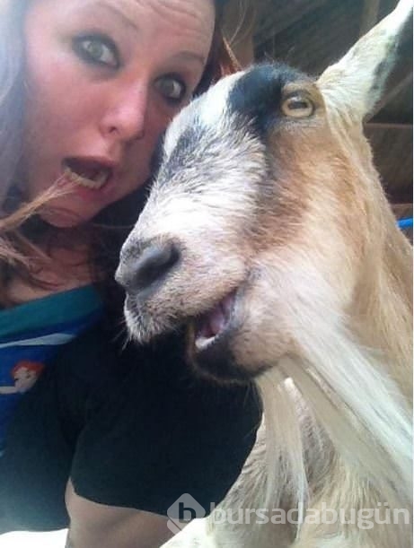 Hayvanlarıyla birlikte çekilmiş 20 selfie