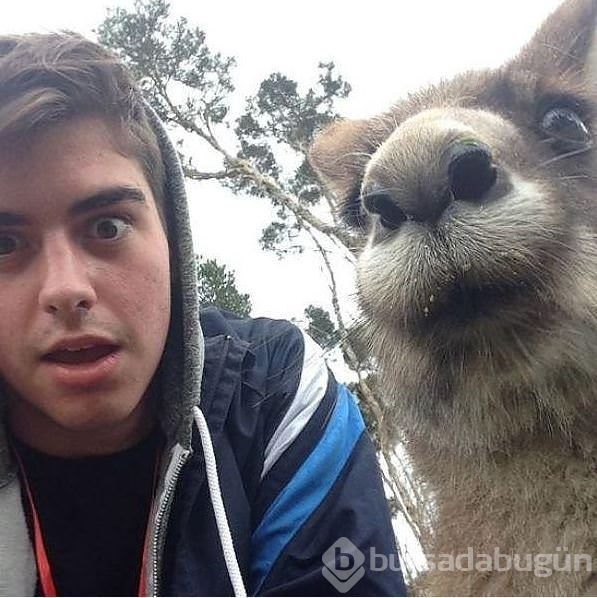 Hayvanlarıyla birlikte çekilmiş 20 selfie