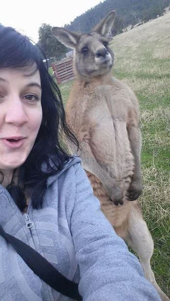 Hayvanlarıyla birlikte çekilmiş 20 selfie