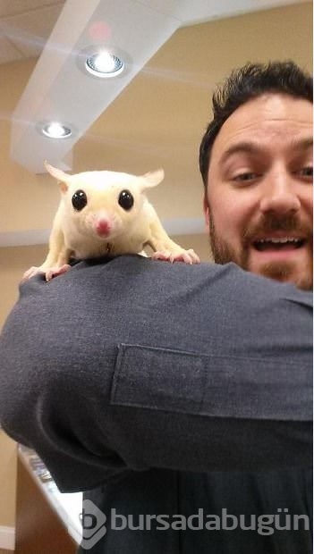 Hayvanlarıyla birlikte çekilmiş 20 selfie