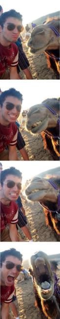 Hayvanlarıyla birlikte çekilmiş 20 selfie